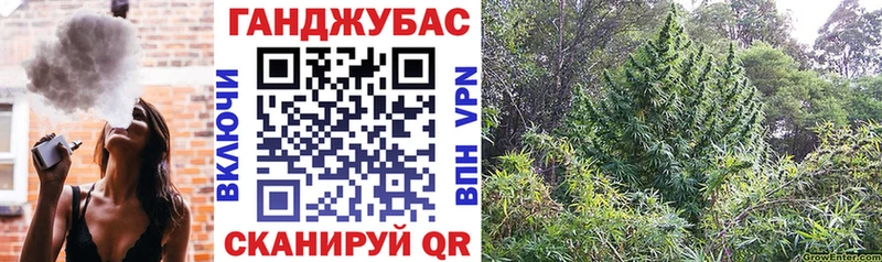 Как найти закладки Моршанск mega tor Кокаин ГАШ Каннабис