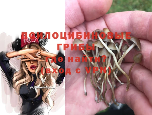 метадон Балахна